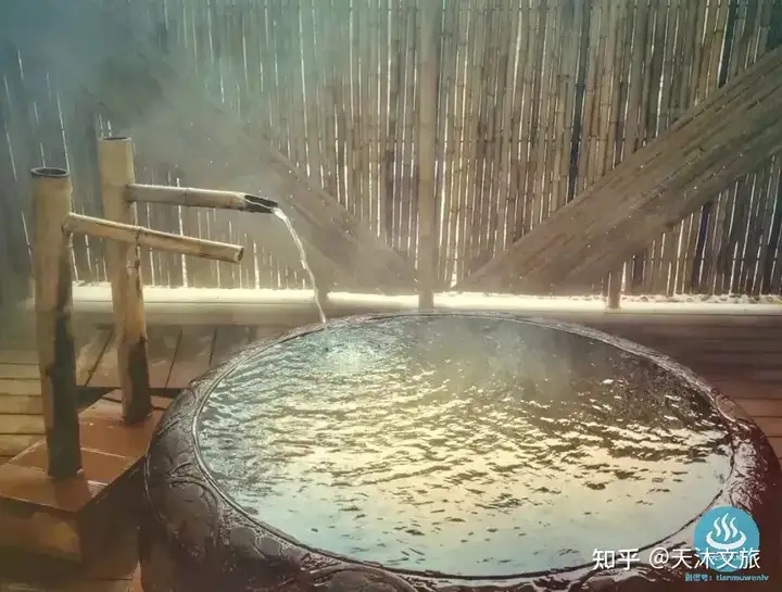 银杏金汤-鲁地天沐温泉度假区