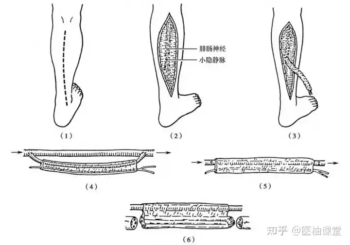 dailybiojuan-poor-things-visual-3