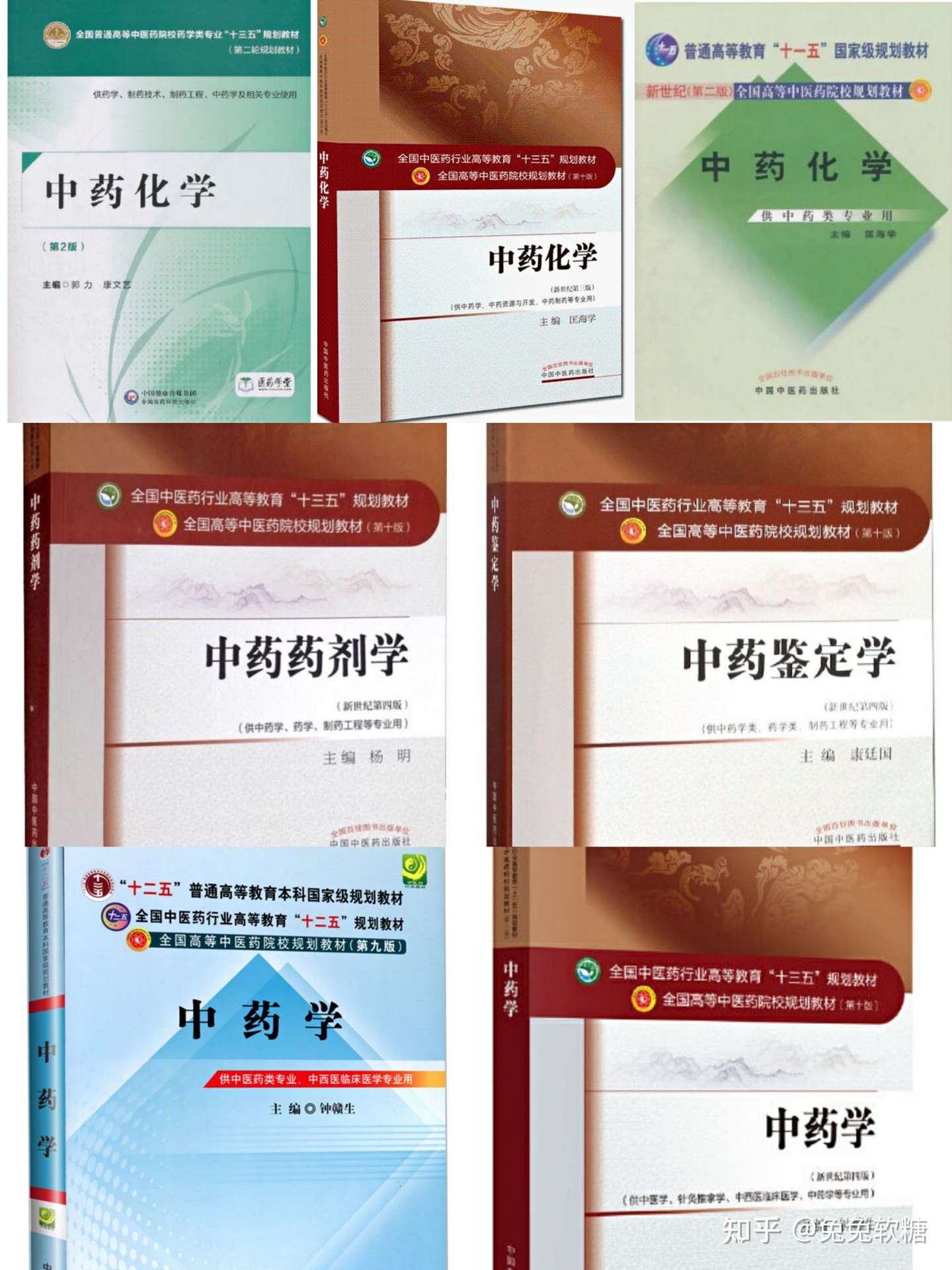 史上最も激安 復習大綱 国際中医師標準試験 過去問題集 資格/検定