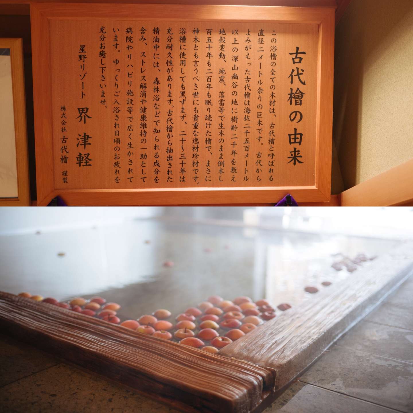 刺绣 苹果 太宰治 这间旅馆去年只来了九个中国人 界 津轻 知乎