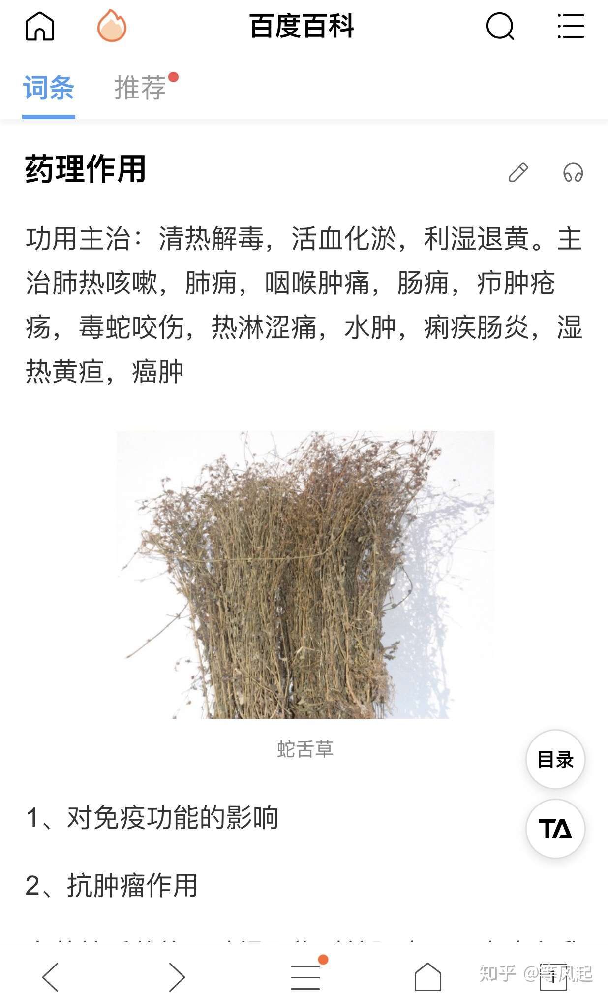 神水 圣水 崂山白花蛇舌草水 知乎