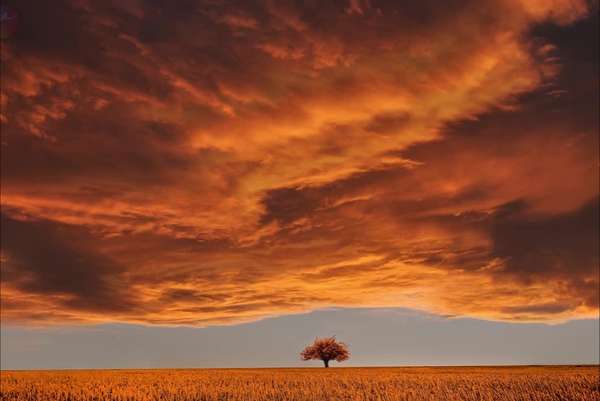 怎么把照片做成视频Mv软件