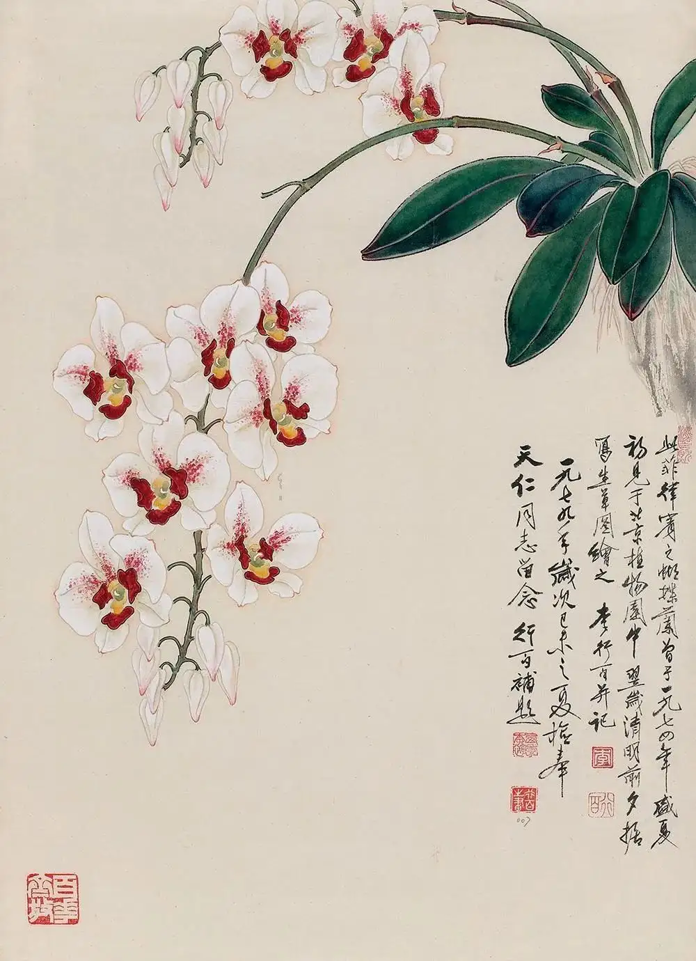 国画天地】李行百的花鸟画根深叶茂，绚丽多彩- 知乎