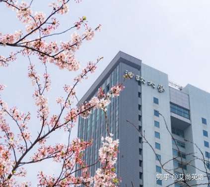 Sgu学部全攻略 法政大学全球经济和社会科学学部 Igess 知乎
