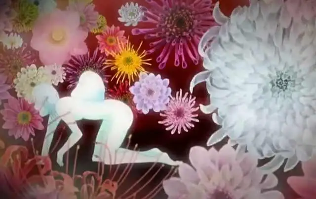 少儿不宜 太现实了 这动漫根本不是二次元 知乎