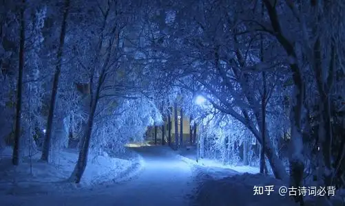 不看后悔（写雪的诗句）关于写雪的诗句古诗 第3张