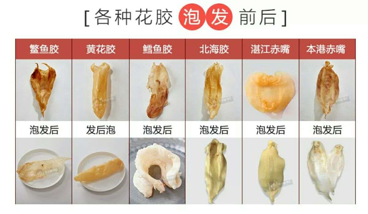 鱼胶的功效及正确吃法 知乎