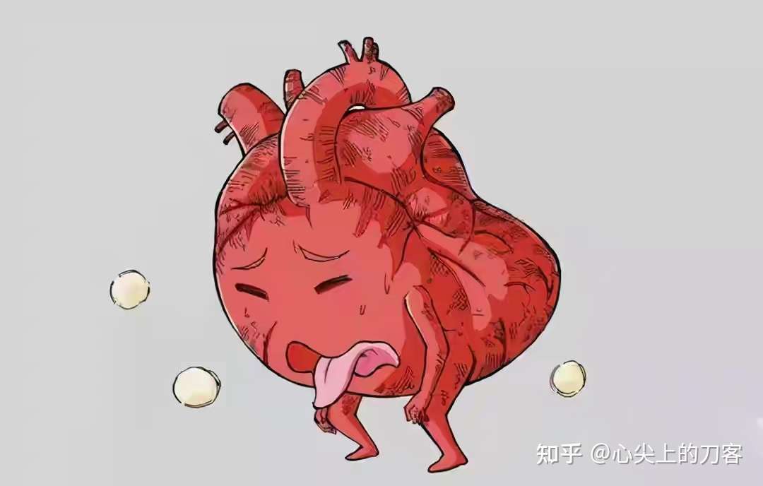 心尖上的刀客 的想法: 心脏移植继续,最近供心好多,等待时间明