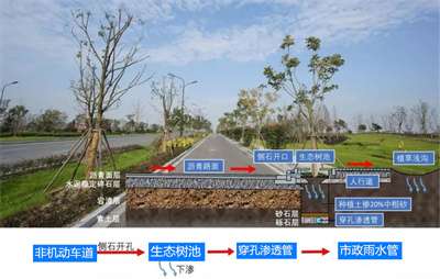 雨水收集系统可解决城市水资源供需矛盾 知乎