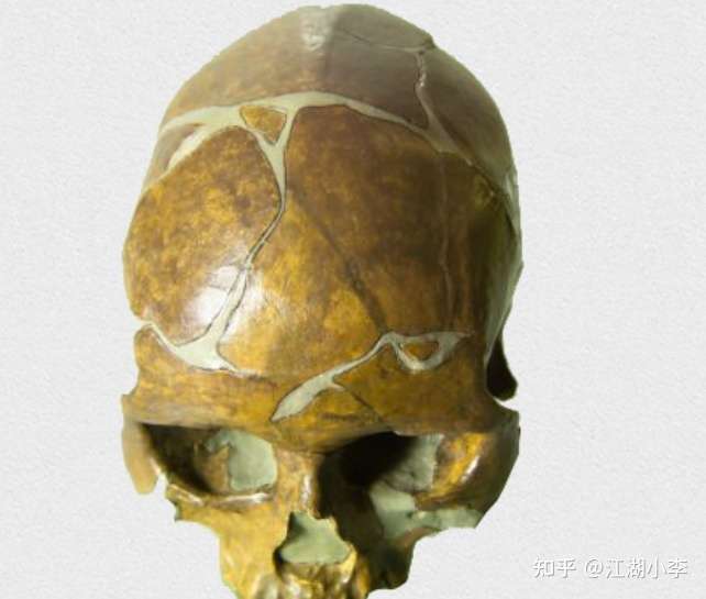 走向文明 一 人类的祖先 知乎