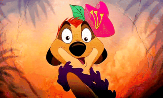 电影少年派里的狐獴meerkat又叫海猫这种动物跟海有什么关系