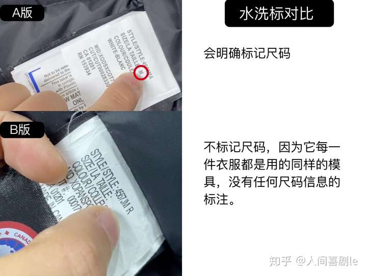 加拿大鹅真假鉴别科普贴不花钱买经验系列