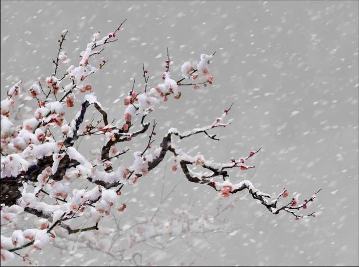 描写冬天的诗句： 绿蚁新醅酒，红泥小火炉。晚来天欲雪，能饮一杯无。-第5张图片-诗句网