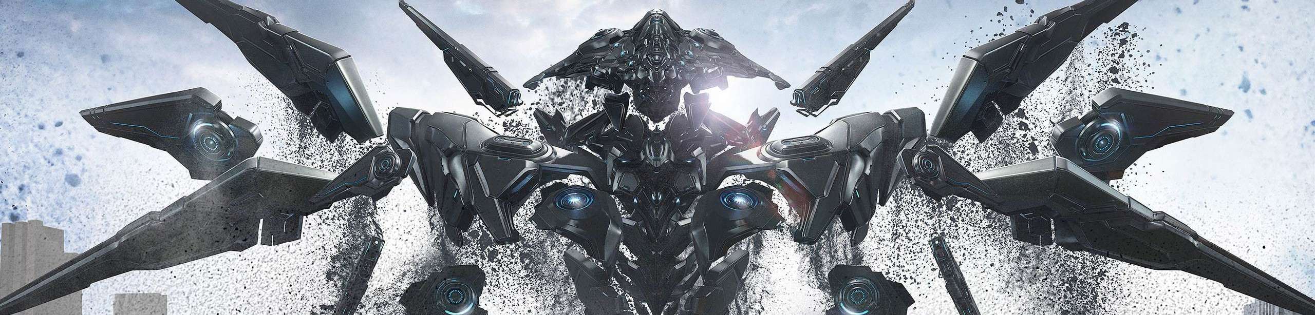 赵小风平面设计师