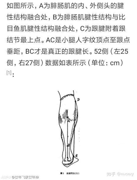 跟腱28.6cm算天賦高嗎?