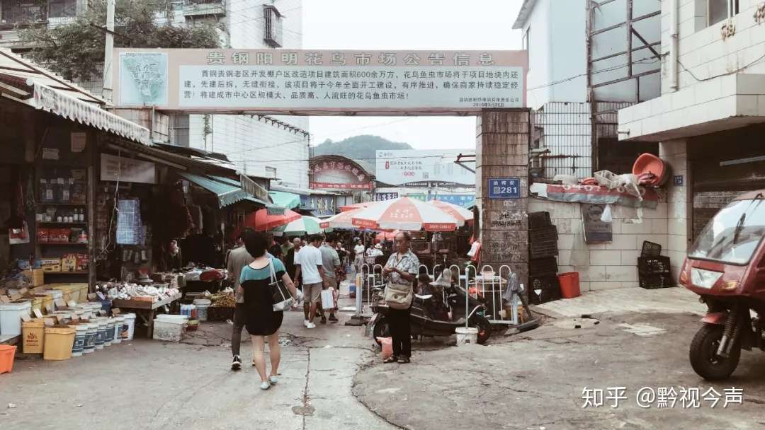 一座花鸟市场,藏着一座城市的诗意生活- 知乎