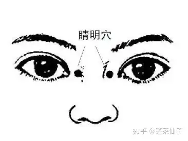 明目穴 zhuanlan.zhihu.com