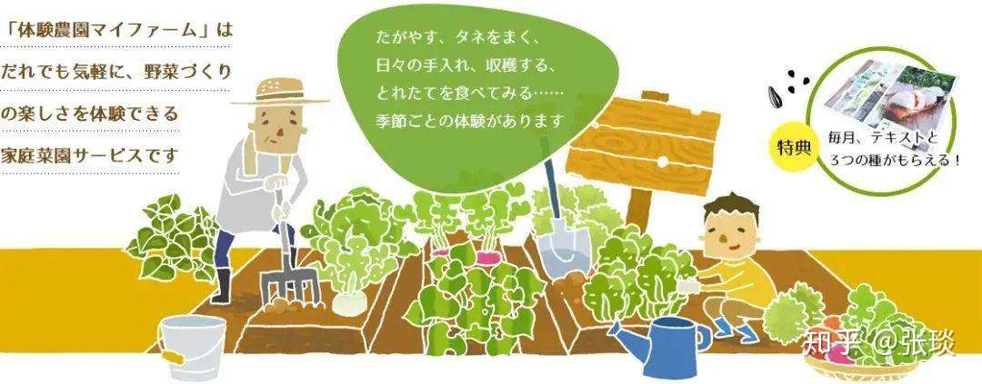 共享农庄不赚钱 看经营十几年的他们是如何盈利的 知乎