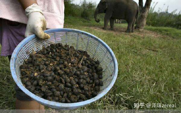 盘点全球最昂贵的七大咖啡,你都认识吗?