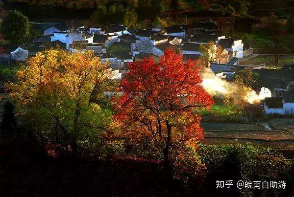 安徽旅遊你該去一趟秋天的安徽這些地方真的很美很冷門