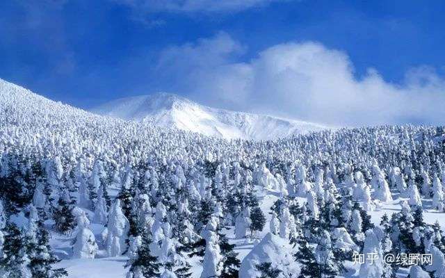 国内适合冬季攀登的10大雪山 寻找生活的滚烫与自由 知乎
