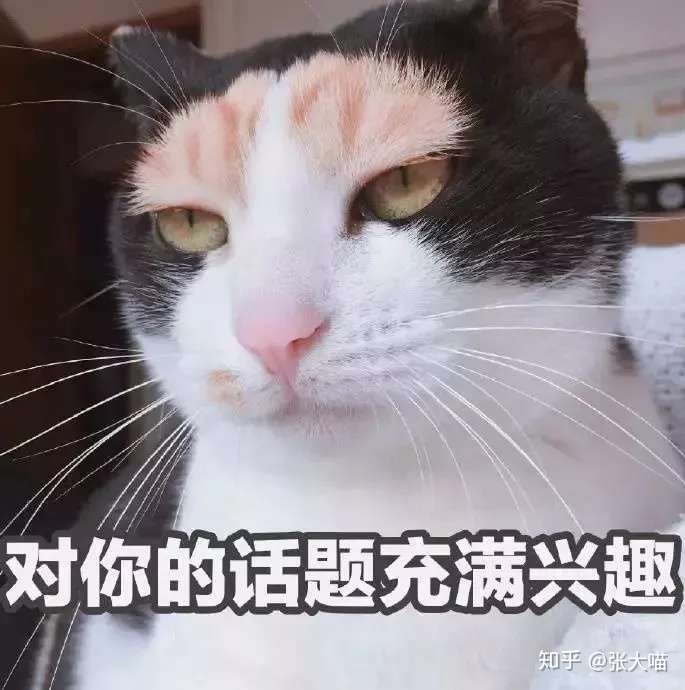 铲屎官必读 猫咪生病时的12种表现 赶紧收好 知乎