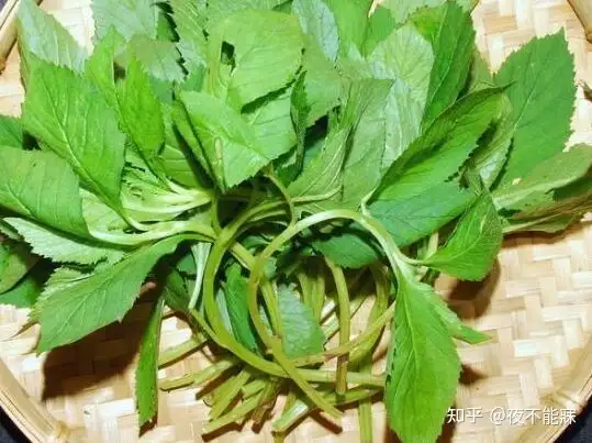 什么是小满？