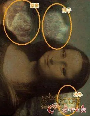 达芬奇的画有外星人图片