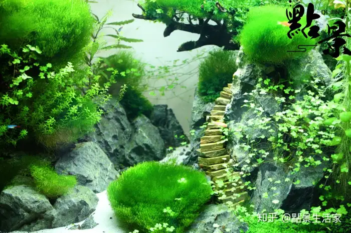 草缸须知 杀螺小技巧 切记 知乎