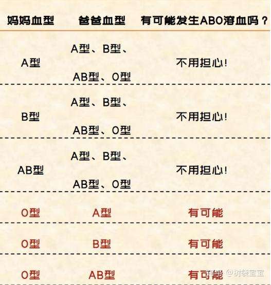 树袋宝宝提醒o型血女性备孕需警惕新生儿溶血症