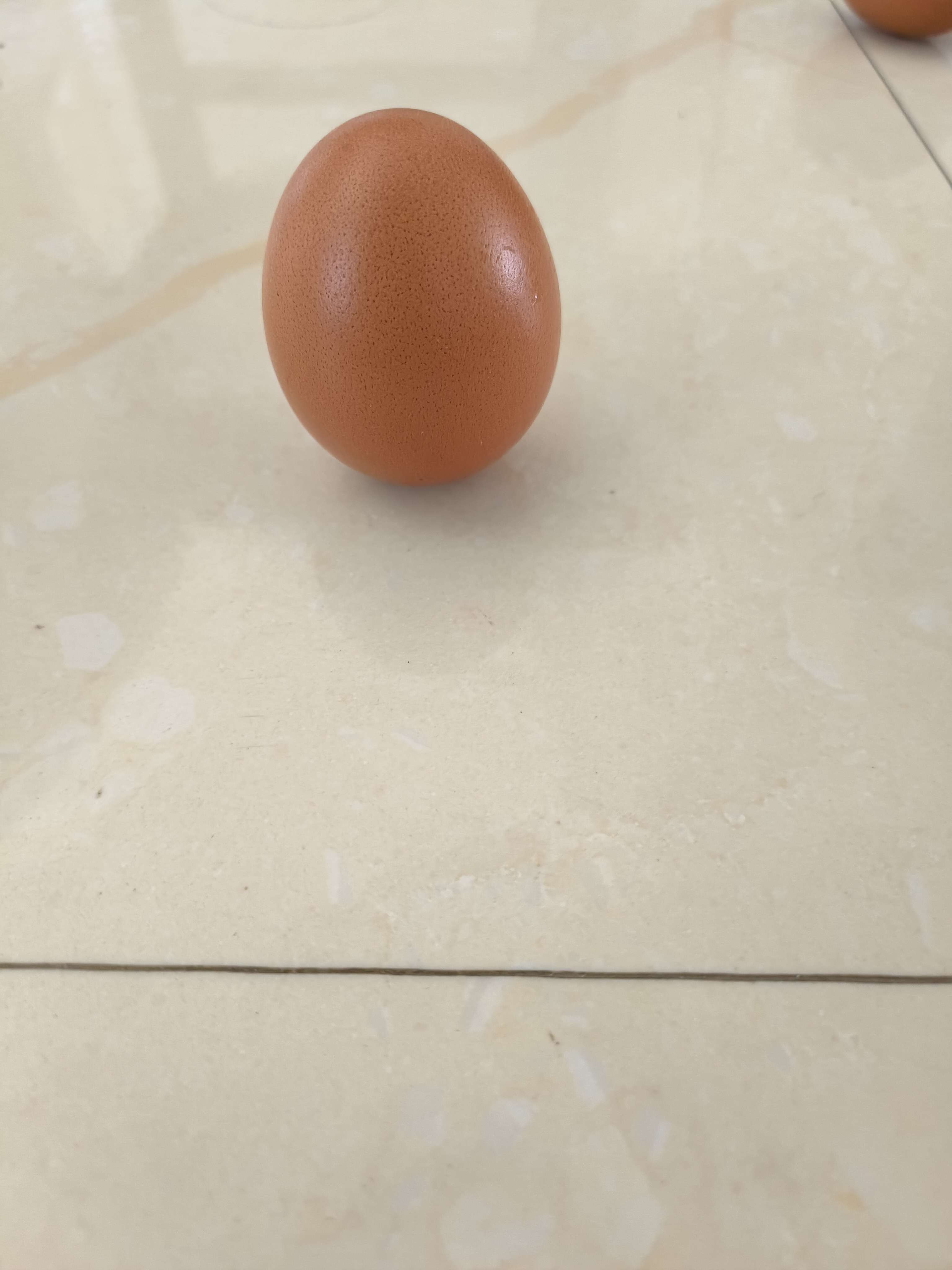 现在不想养宠物 的想法: 给表演一个端午立蛋 | 这可是需要技巧的哦