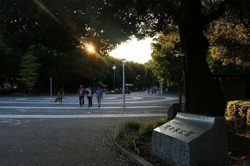 感受大自然的美丽 东京代代木公园 知乎