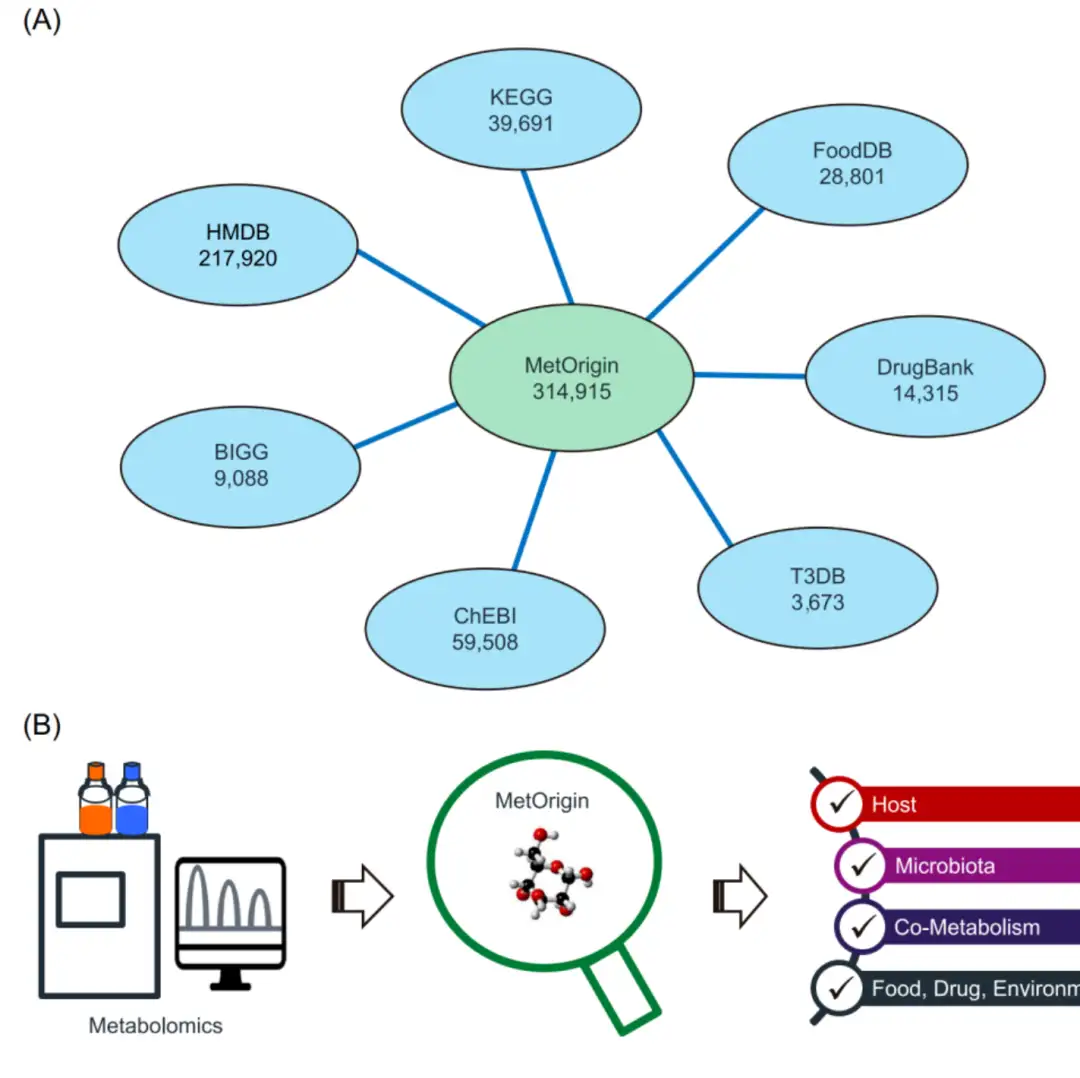 iMeta | 北大陈峰组综述口腔微生物组的标准化研究：从技术驱动到假说 