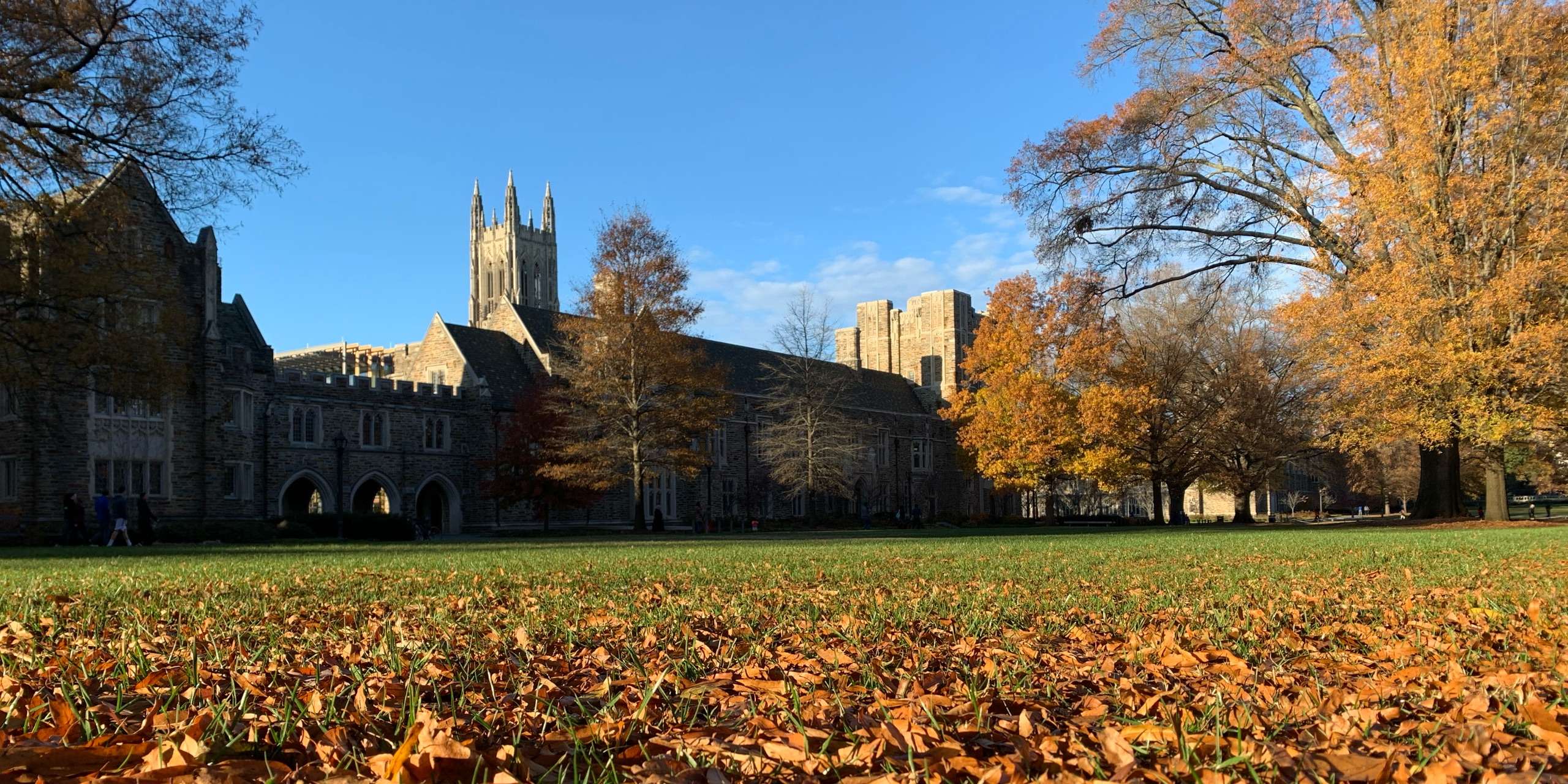 jupiter z职业无 / 兴趣有