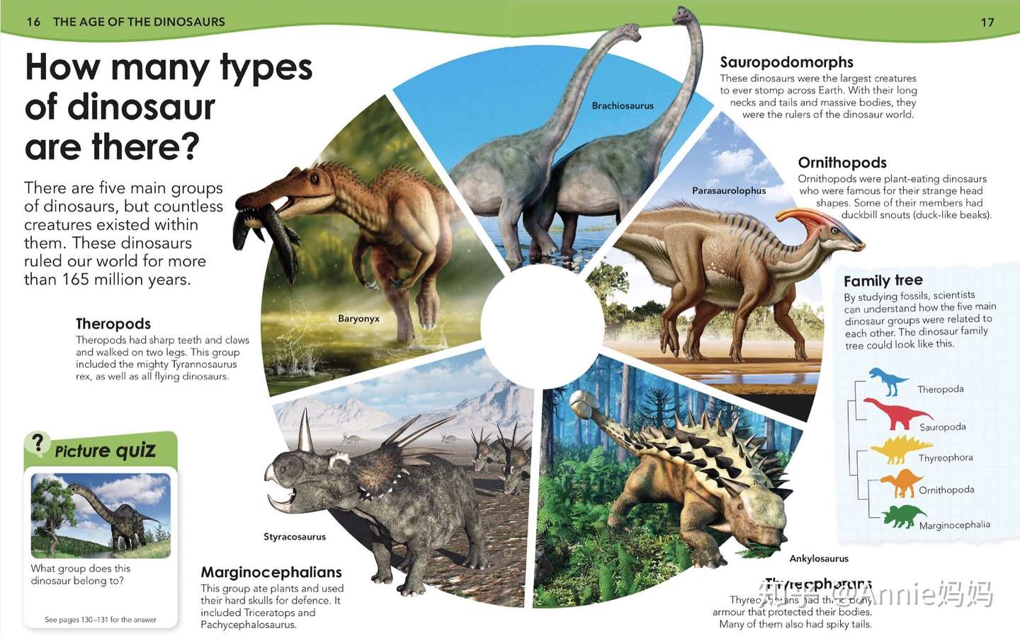 如何用英语和孩子介绍各种恐龙 知乎