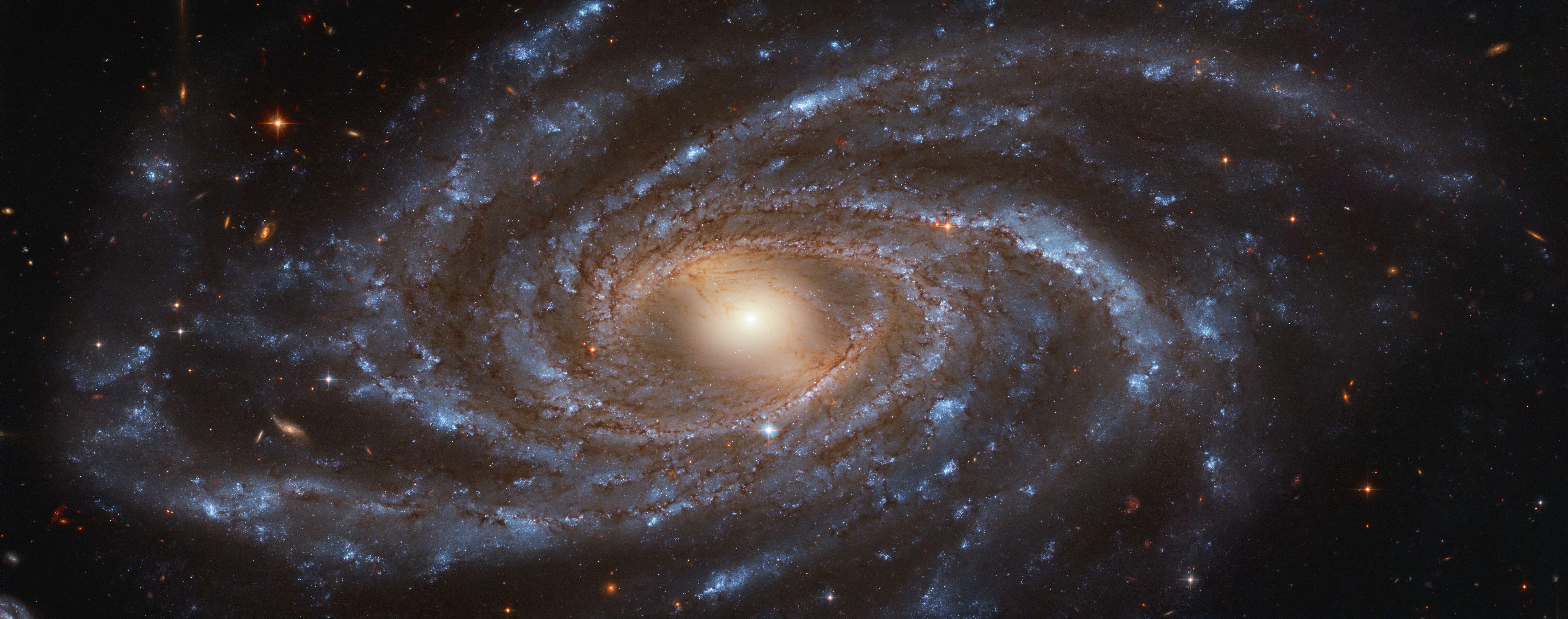 美图航天哈勃望远镜里的银河ngc2336星系那么的美丽那么的蓝那么的