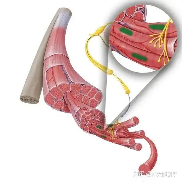 涯姿肌兜沸能源请自原誊(图4)