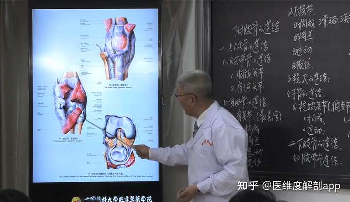 推荐中国医科大学 霍琨老师的系统解剖学课程,全程无ppt硬讲,就在黑板