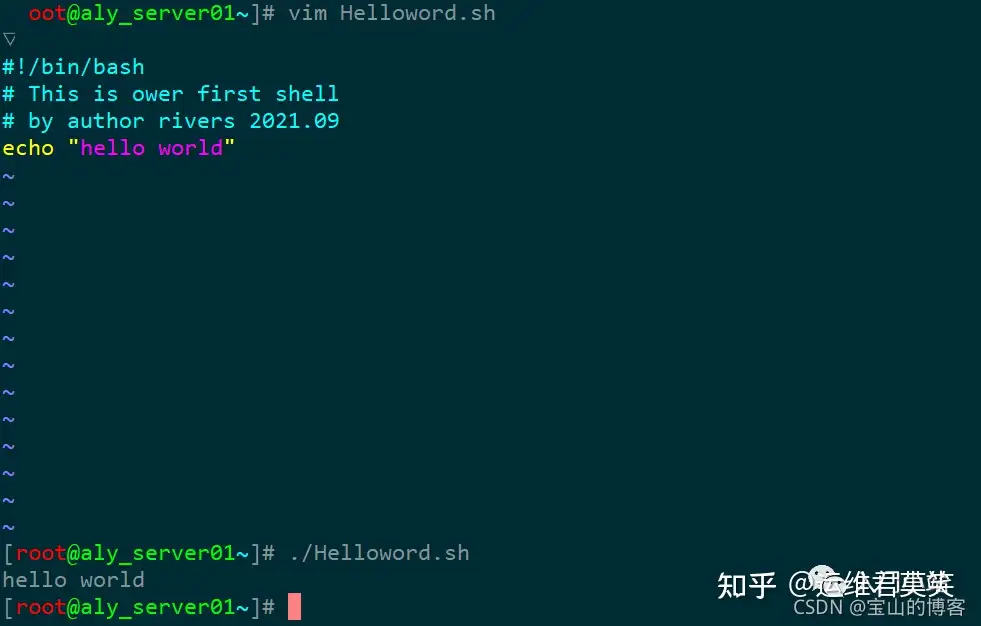 Linux Shell 脚本入门到实战详解 知乎