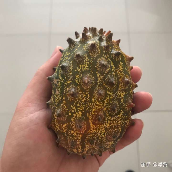 复联4里灭霸摘的果子叫什么