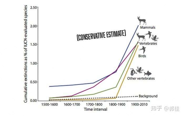 如果放任动物灭绝会怎样