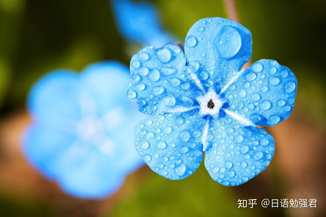 雨の名前 日本人对自然的纤细感 知乎
