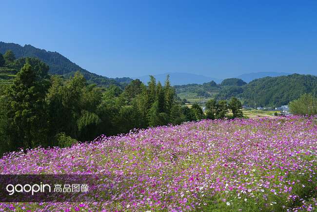 千岩万壑 被誉为 蓬莱山 的朝鲜第一山 知乎