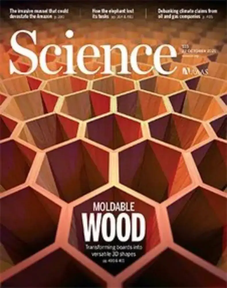 “木头大王”一周连发两篇顶刊，蜂巢芯3D成型木板登Science封面，电解质导电率显著提升，三年内部分产品有望量产 - 如意-如意
