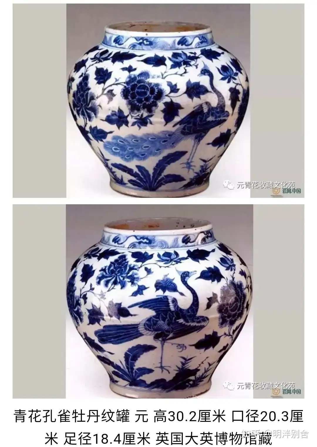 中国　元染　青花　魚藻文瓶　C　R3637B美術品/アンティーク