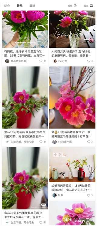 鲜花迎来报复性消费 盒马芍药销量同比翻六倍 知乎 鲜花迎来报复性消费 盒马芍药销量同比翻六倍 知乎