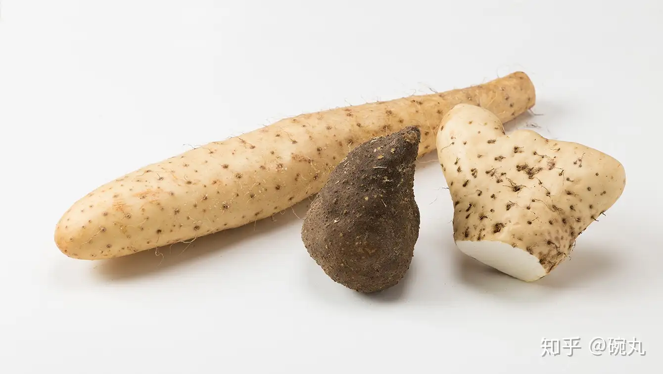 山芋 山药在日本有啥奇幻的打开方式 知乎