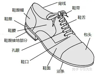 运动鞋的构造解说图图片