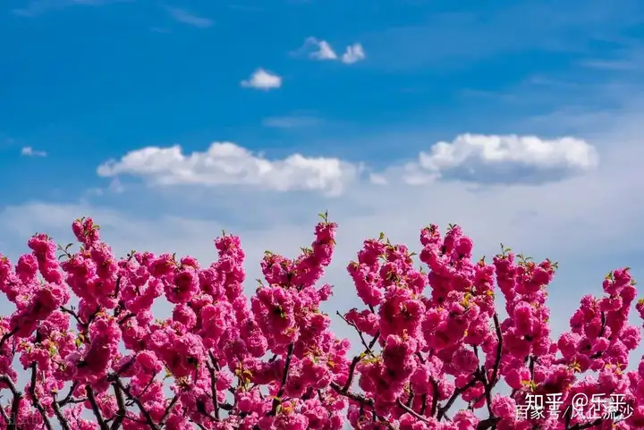 干货满满（经典句子）经典句子人生短句 第5张