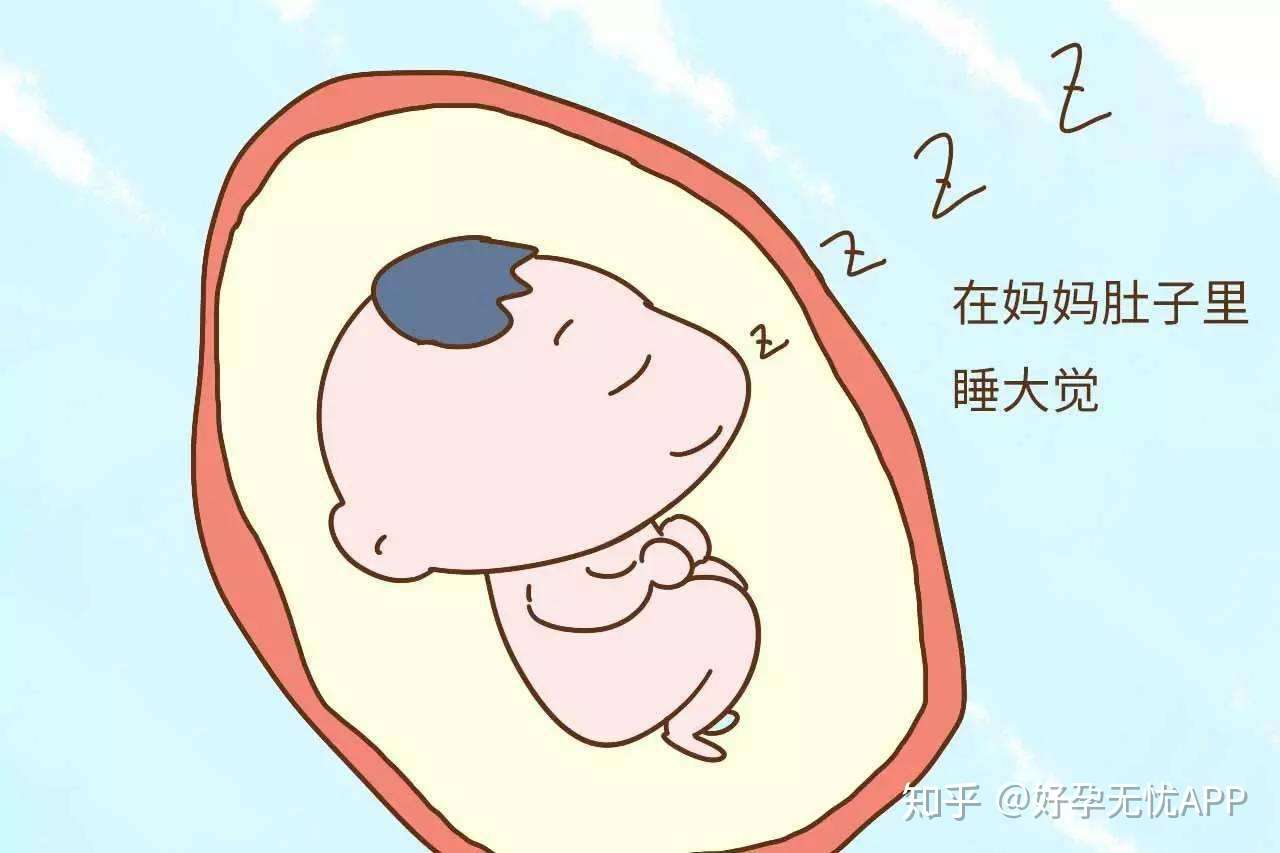 怀孕时期胎动次数多少才是正确的 知乎